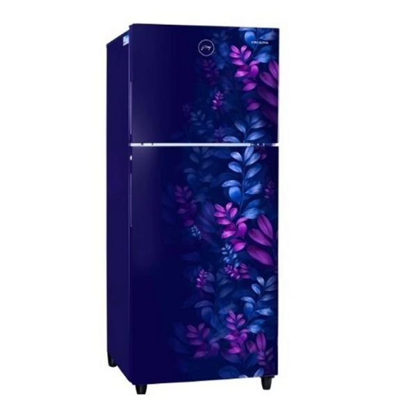 Godrej RT EON ALPHA 250B RI AR BL