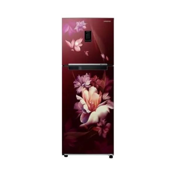 SAMSUNG 291 L Frost Free Double Door 2 Star Refrigerator  (Midnight Blossom Red, RT34C4622RZ/HL)