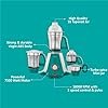 Preethi Aries MG 216 mixer grinder 750 watt, Green, 4 Jars, Vega W5 motor with 5yr Warranty & Lifelong Free Service